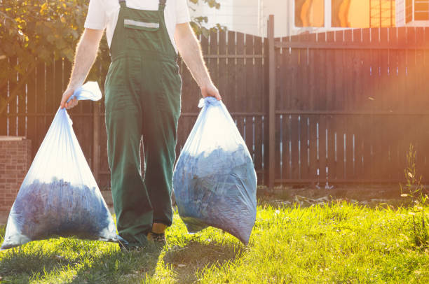 Best Dumpster Rental Services  in Phoenix, AZ